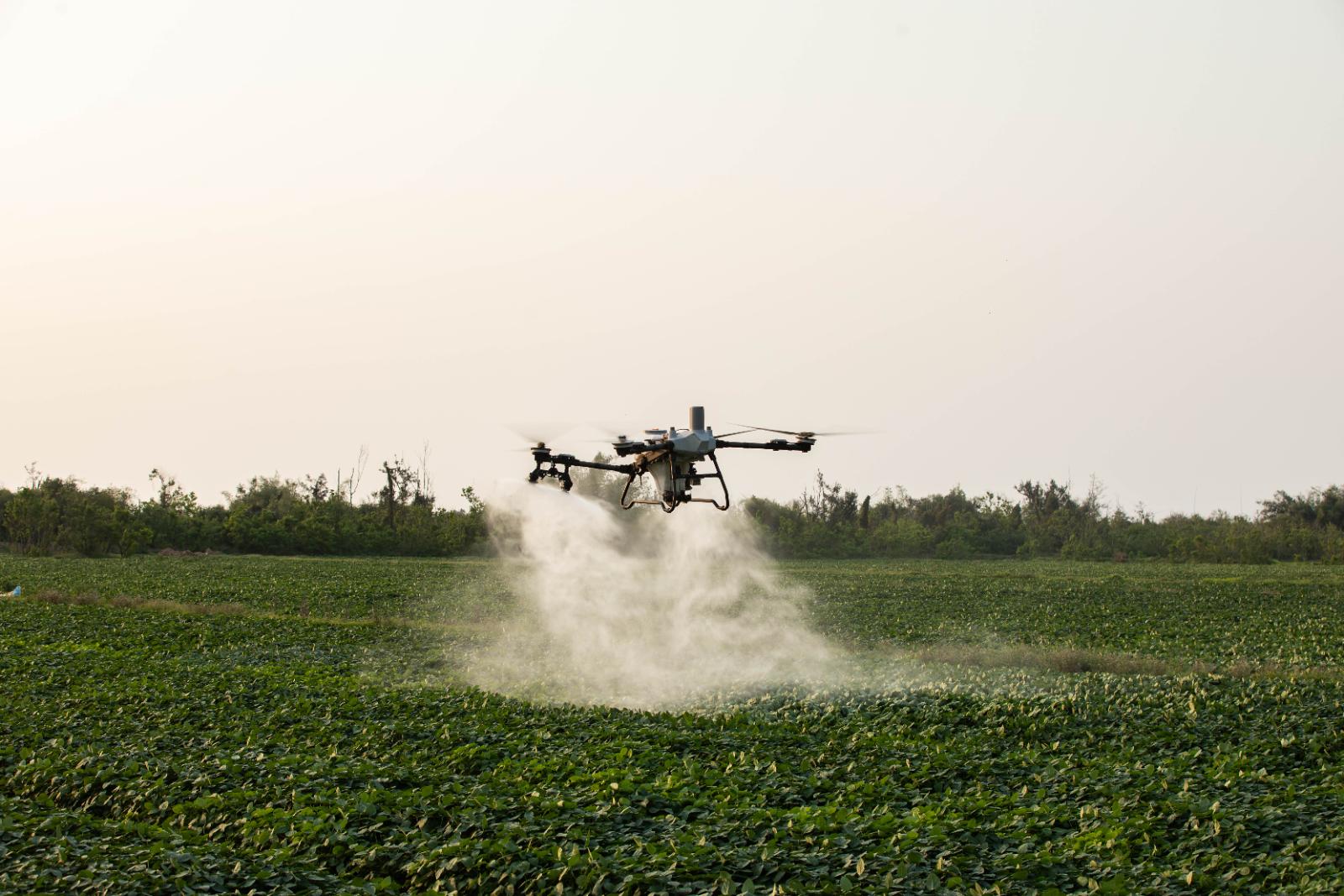 Drone agrícola pulverizando lavoura de soja